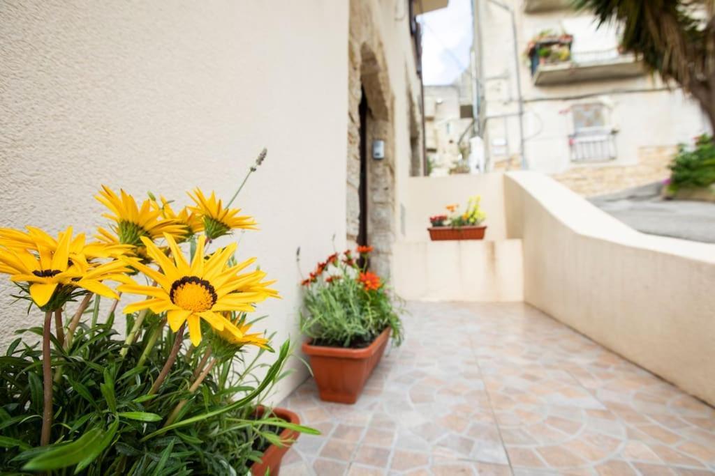 La Domus Di Segesta "Smart Solution" Apartment Калатафими Екстериор снимка